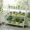 3 Tier Wood Flower Pots Plant Stand Herb Step Shelf Garden Folding Display Racks Bookcases & Standing Shelves Living and Home White